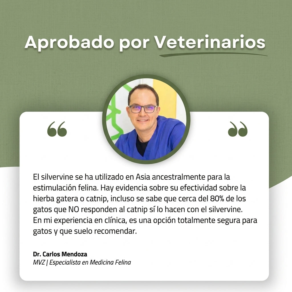 NaturaGato Sticks Dentales