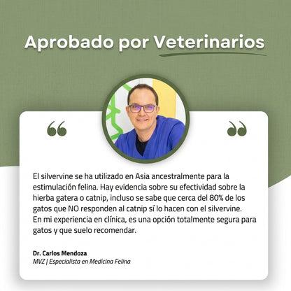NaturaGato Sticks Dentales