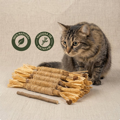 NaturaGato Sticks Dentales